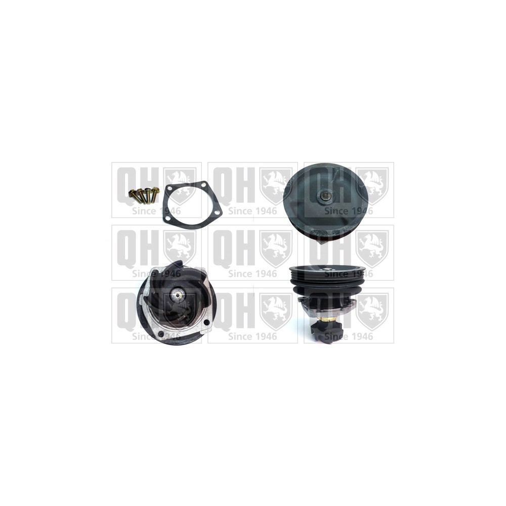 Image for QH QCP3115 Water Pump
