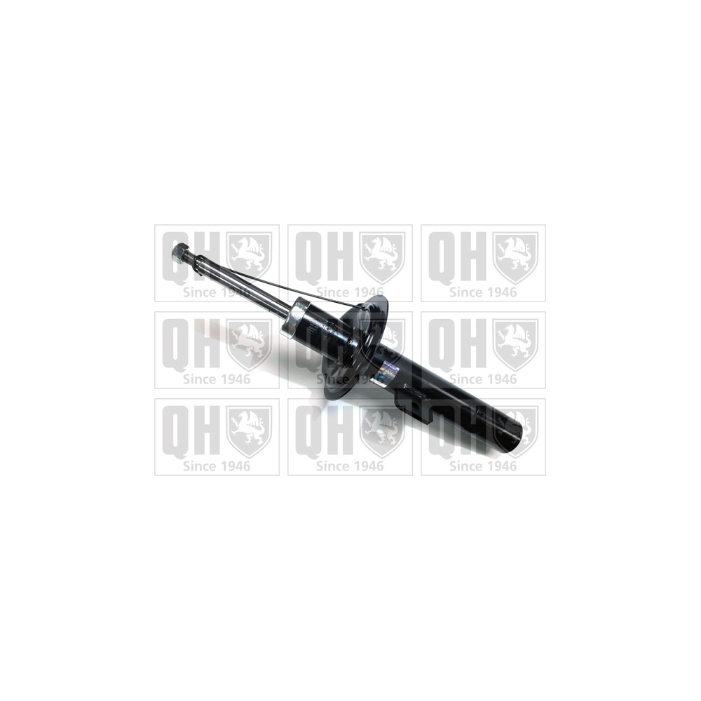 Image for QH QAG178650 Shock Absorber