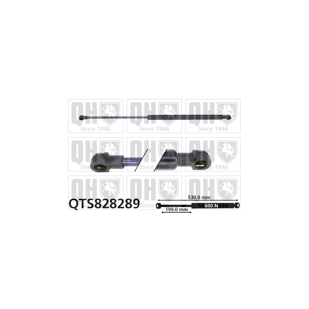 Image for QH QTS828289 Gas Spring
