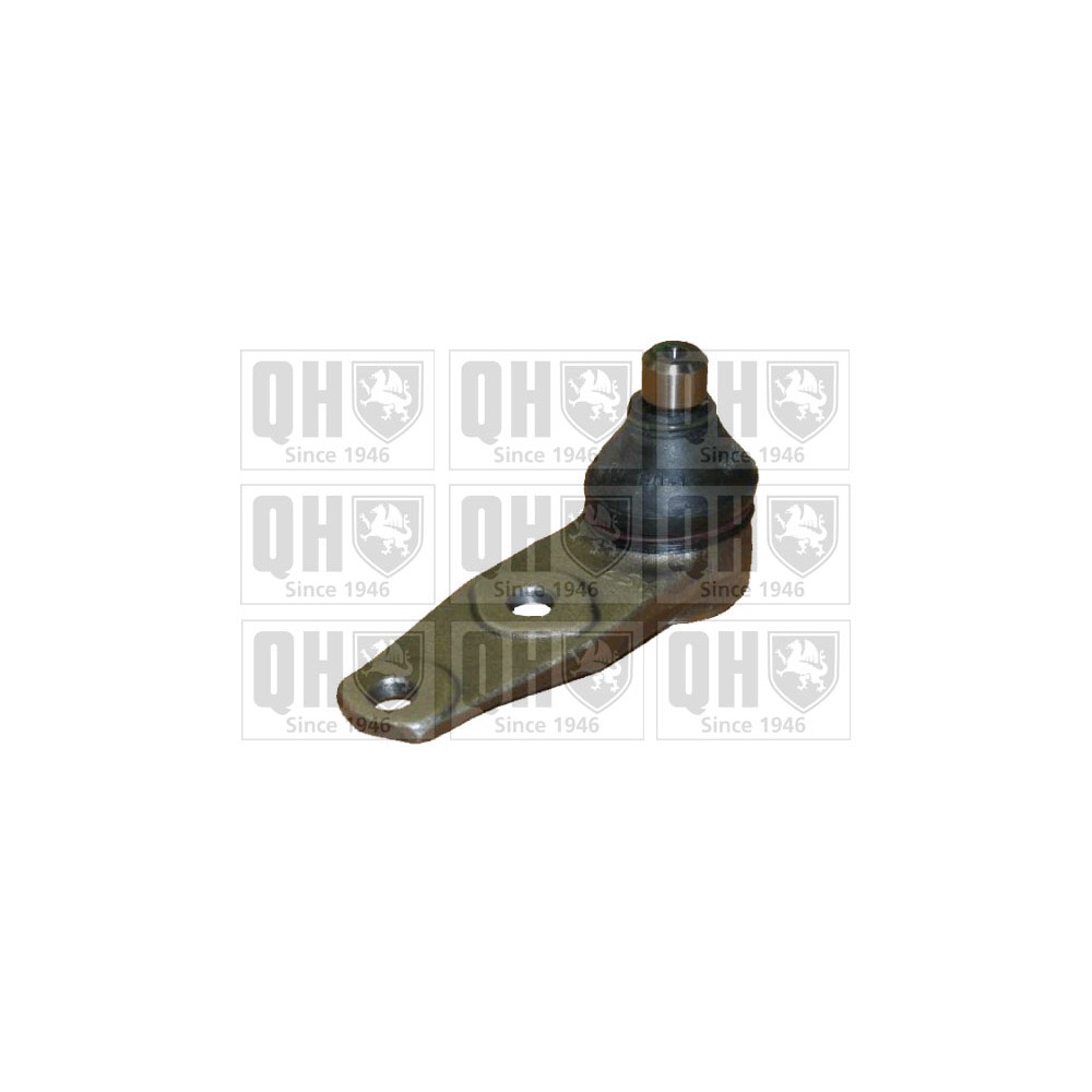 Image for QH QSJ885S Ball Joint - Front Lower LH & RH