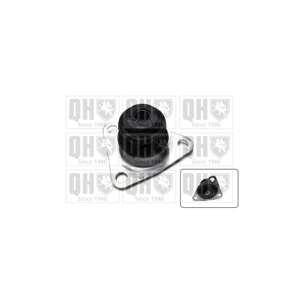 Image for QH EM3134 Engine/Gearbox Mounting - Rear