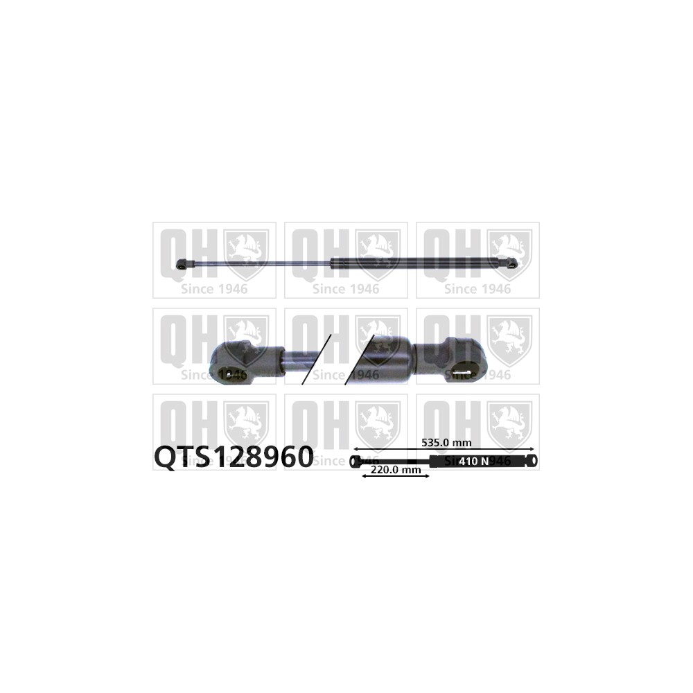 Image for QH QTS128960 Gas Spring