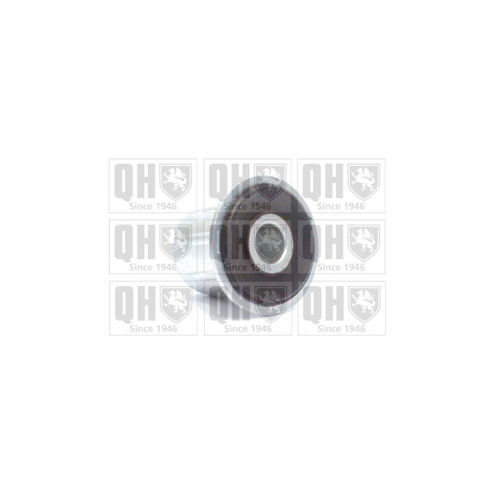 Image for QH EMS8491 Leaf Spring Bush - Rear