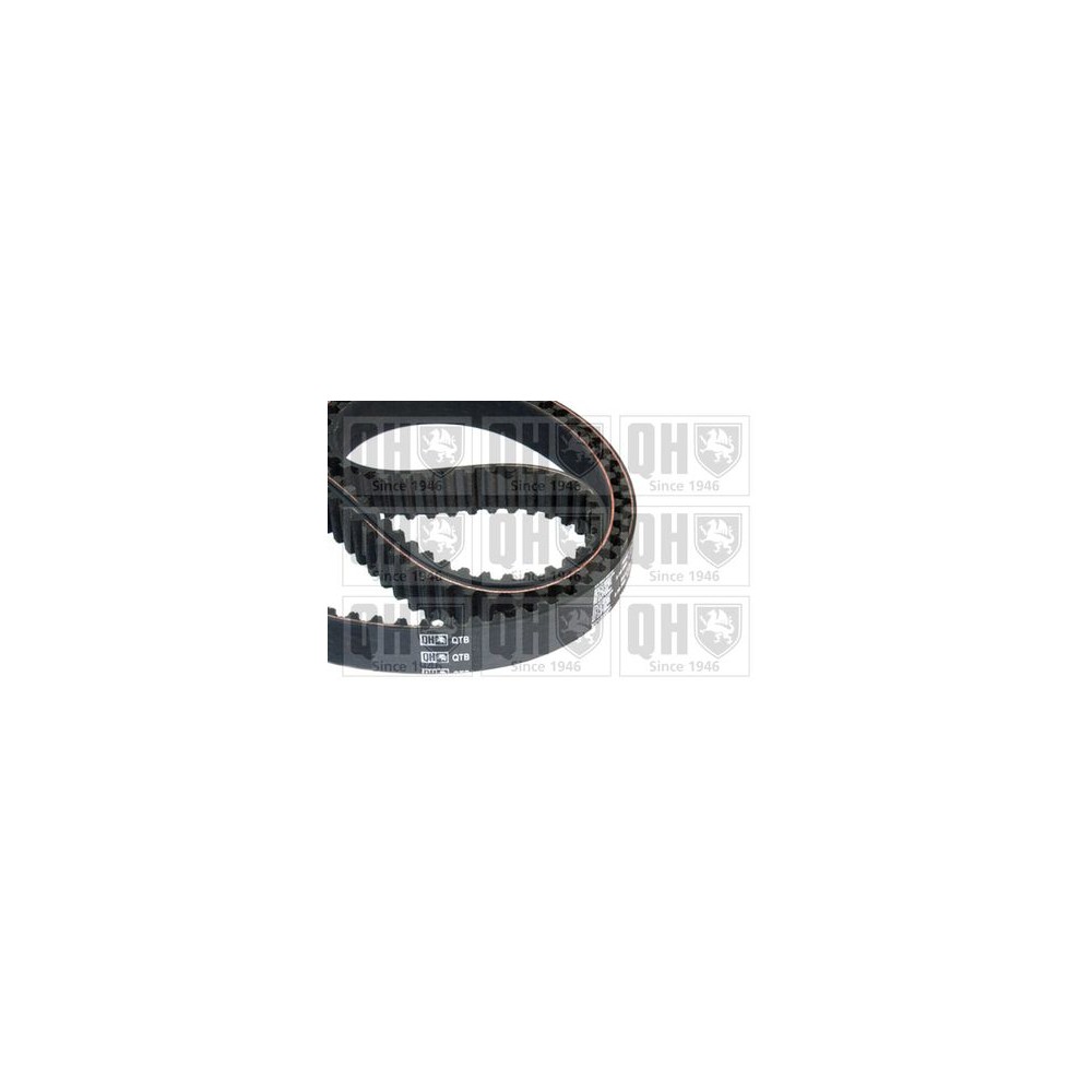 Image for QH QTB650 Timing Belt