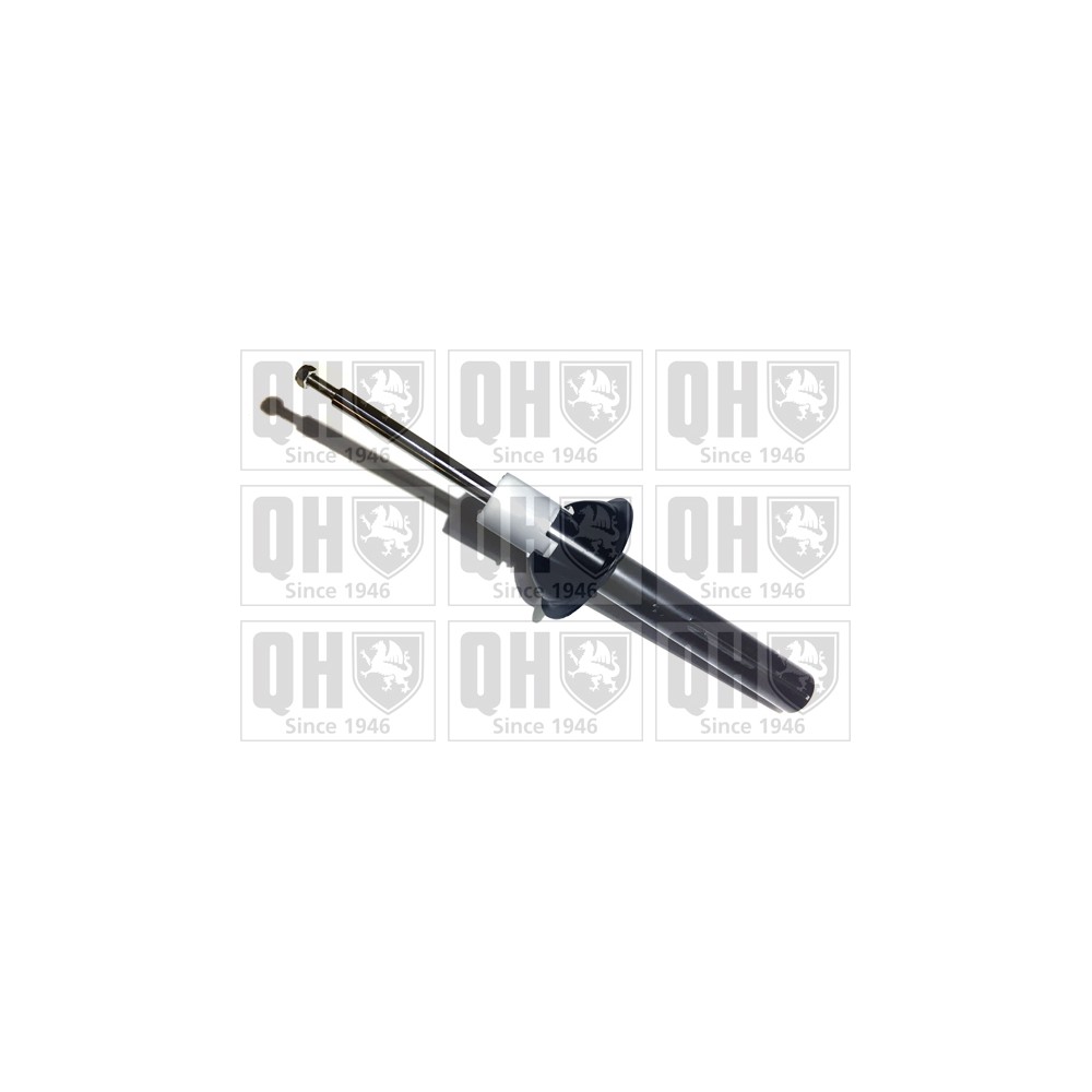 Image for QH QAG181304 Shock Absorber