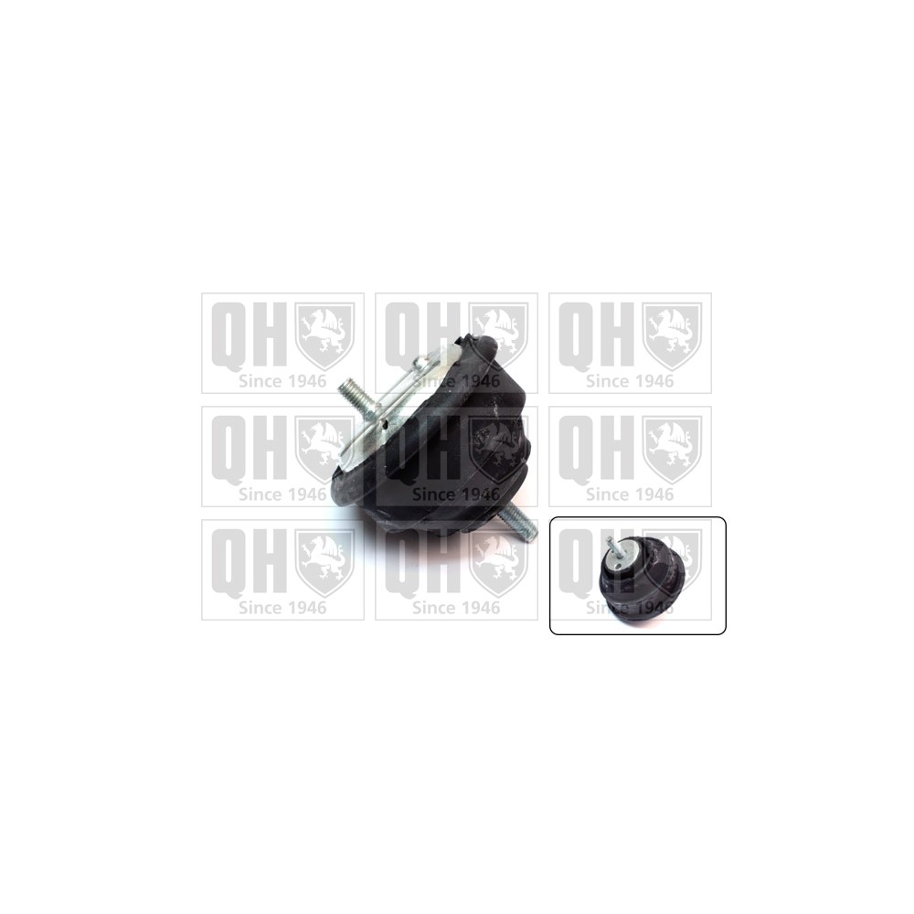 Image for QH EM4077 Engine Mounting