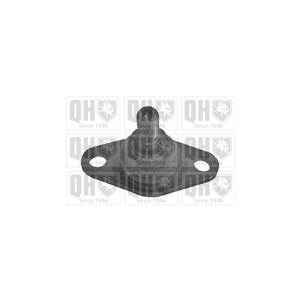 Image for QH QSJ3278S Ball Joint - Front Lower LH & RH (Outer)