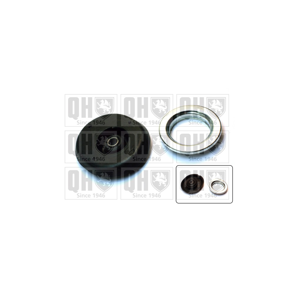 Image for QH EMA6119 Top Strut Mounting- inc Bearing