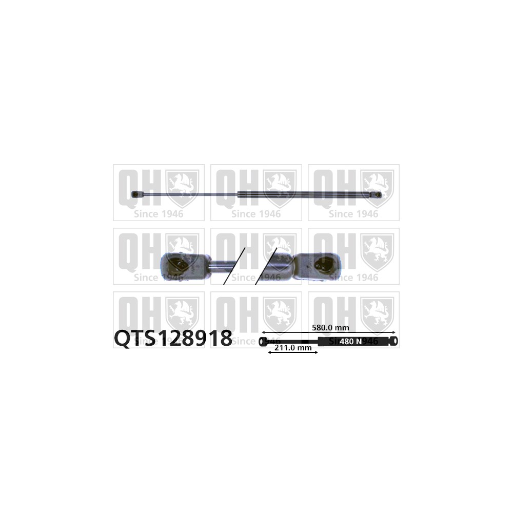 Image for QH QTS128918 Gas Spring