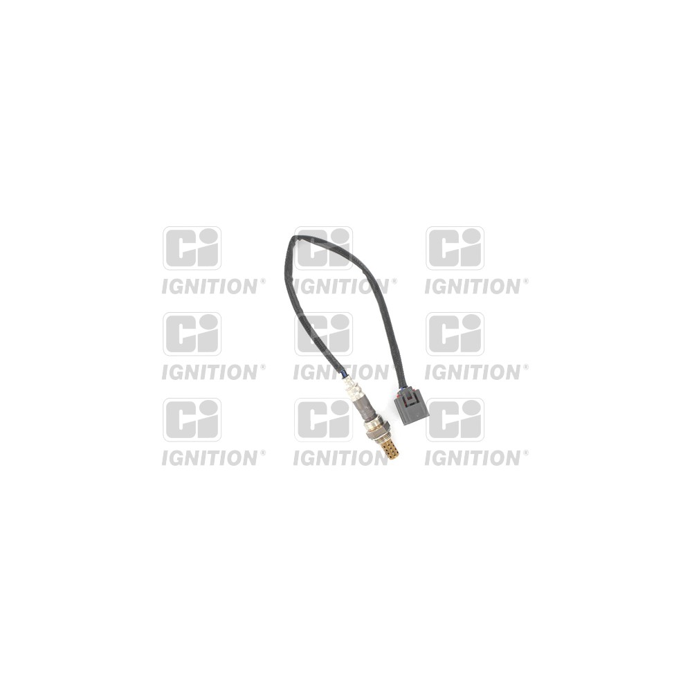 Image for Oxygen Sensor