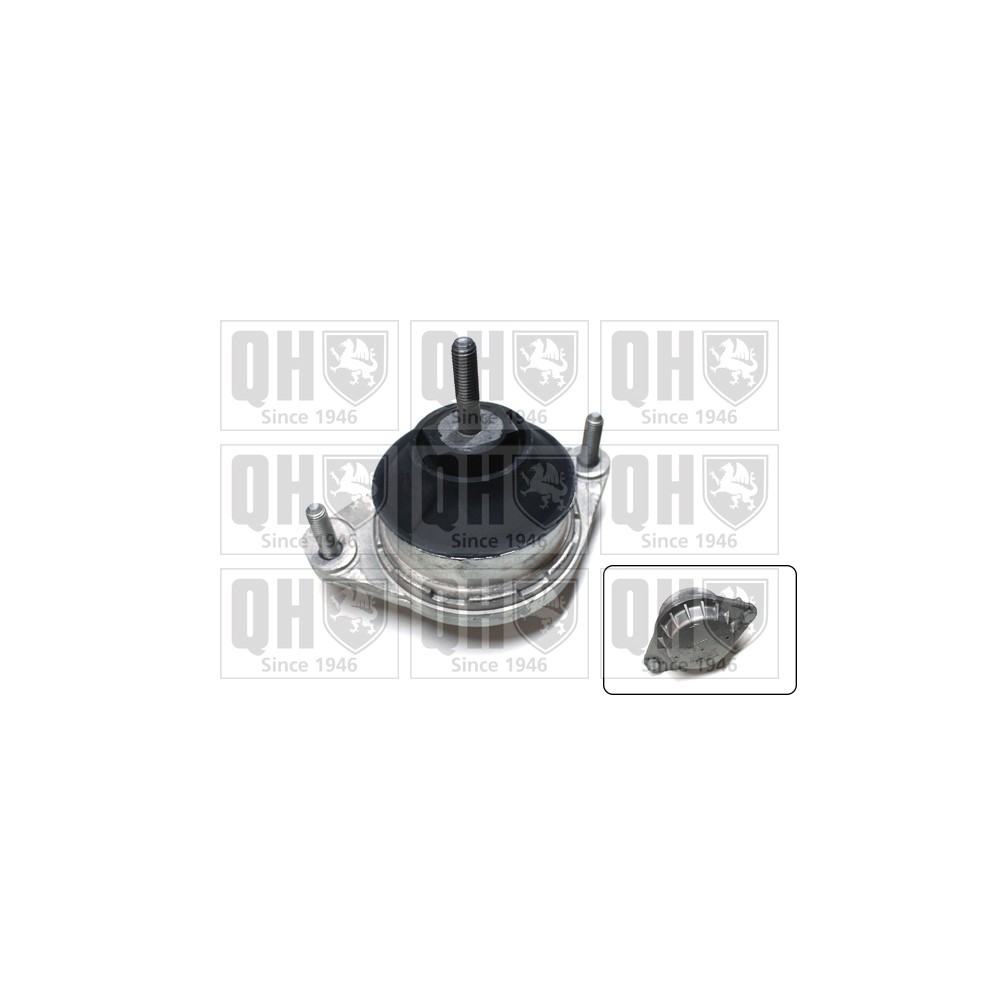 Image for QH EM3416 Engine Mounting