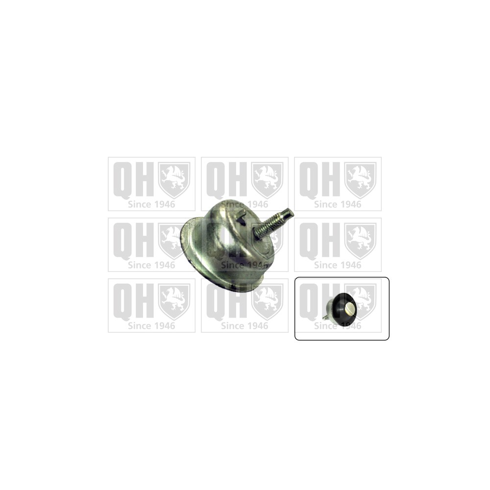 Image for QH EM4143 Engine Mounting