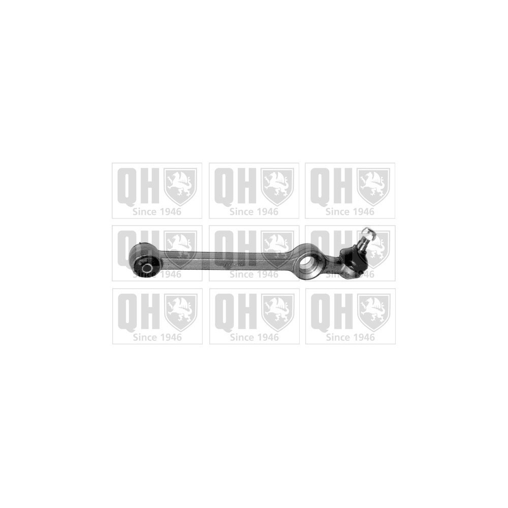 Image for QH QSJ1061S Suspension Arm - Front Lower LH & RH