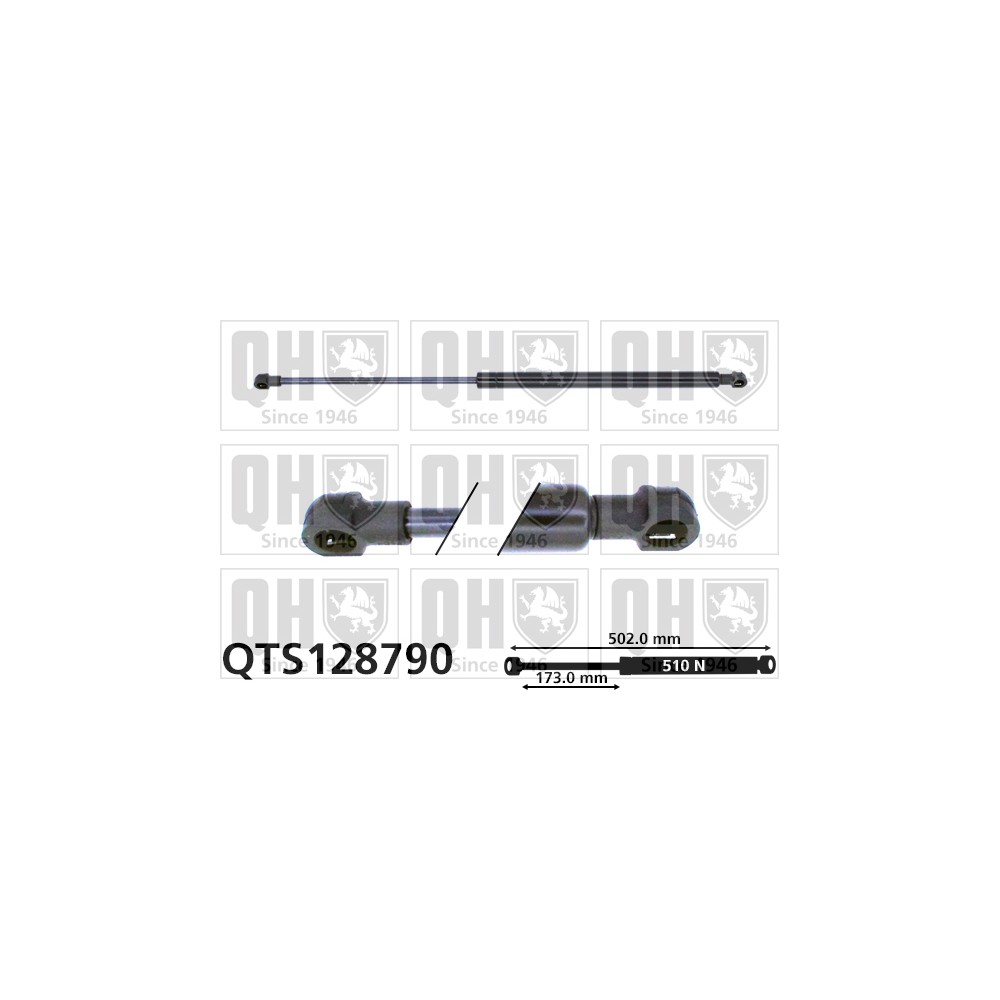 Image for QH QTS128790 Gas Spring