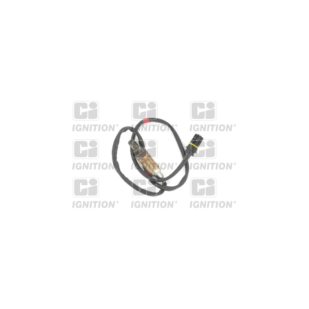 Image for Oxygen Sensor