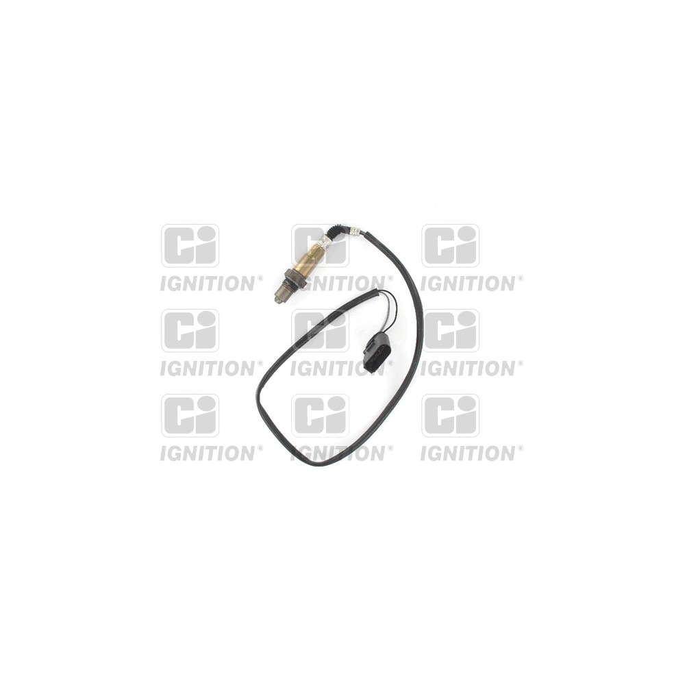 Image for Oxygen Sensor