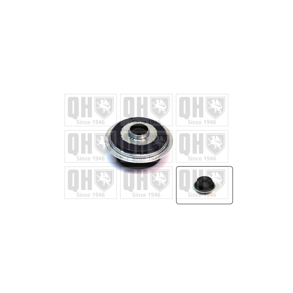 Image for QH EMR6161 Top Strut Mounting- exc Bearing