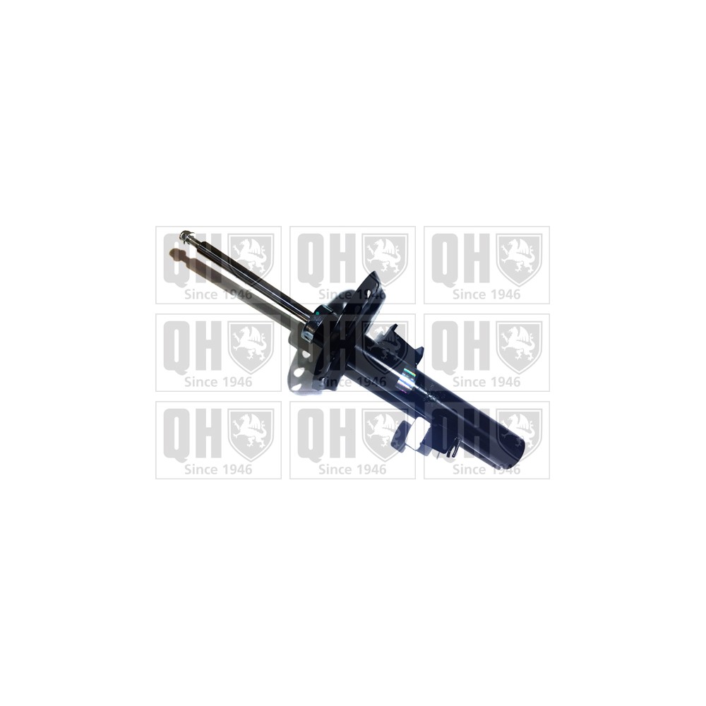 Image for QH QAG878134 Shock Absorber