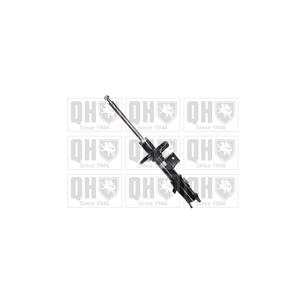 Image for QH QAG181024 Shock Absorber