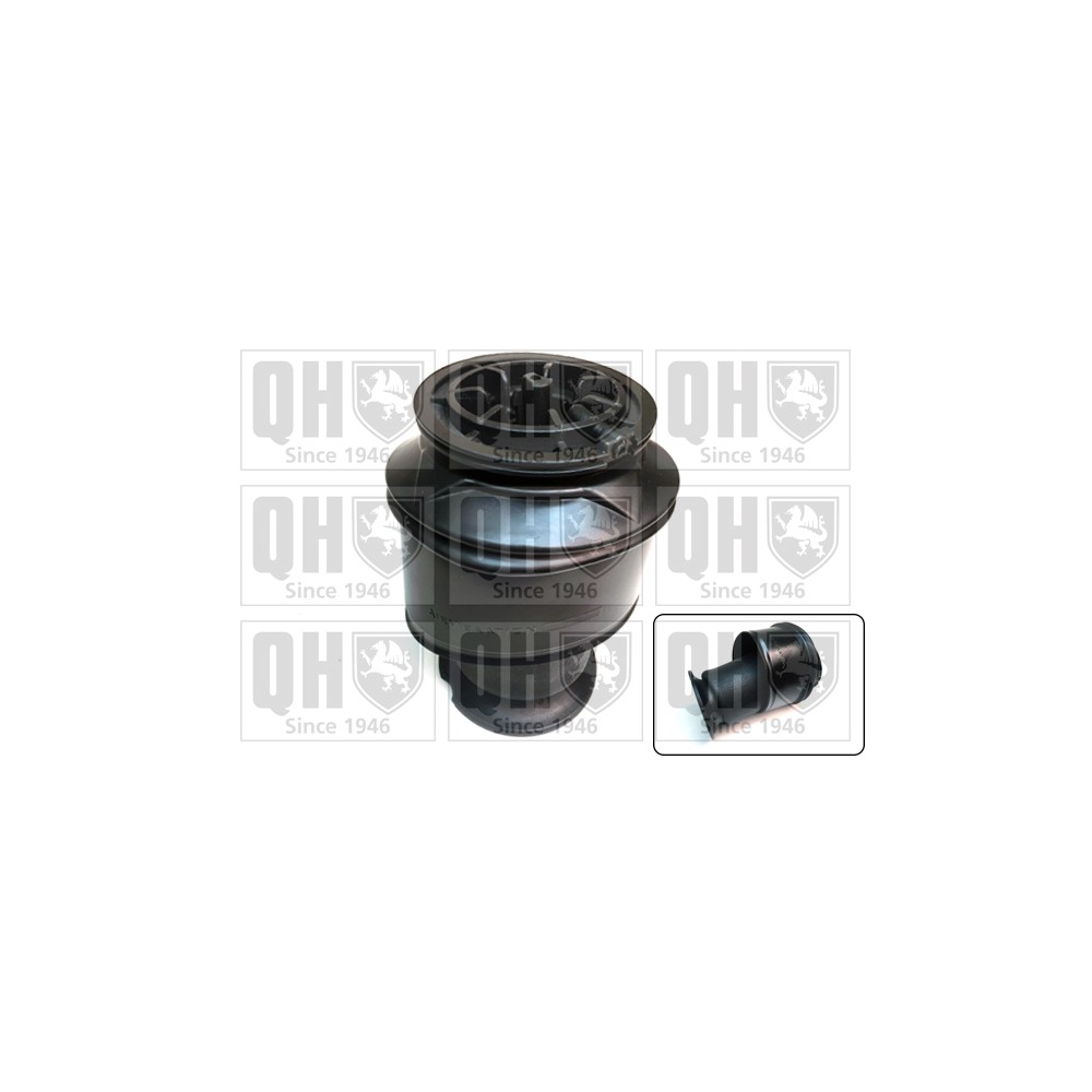 Image for QH EMR4938 Air Spring