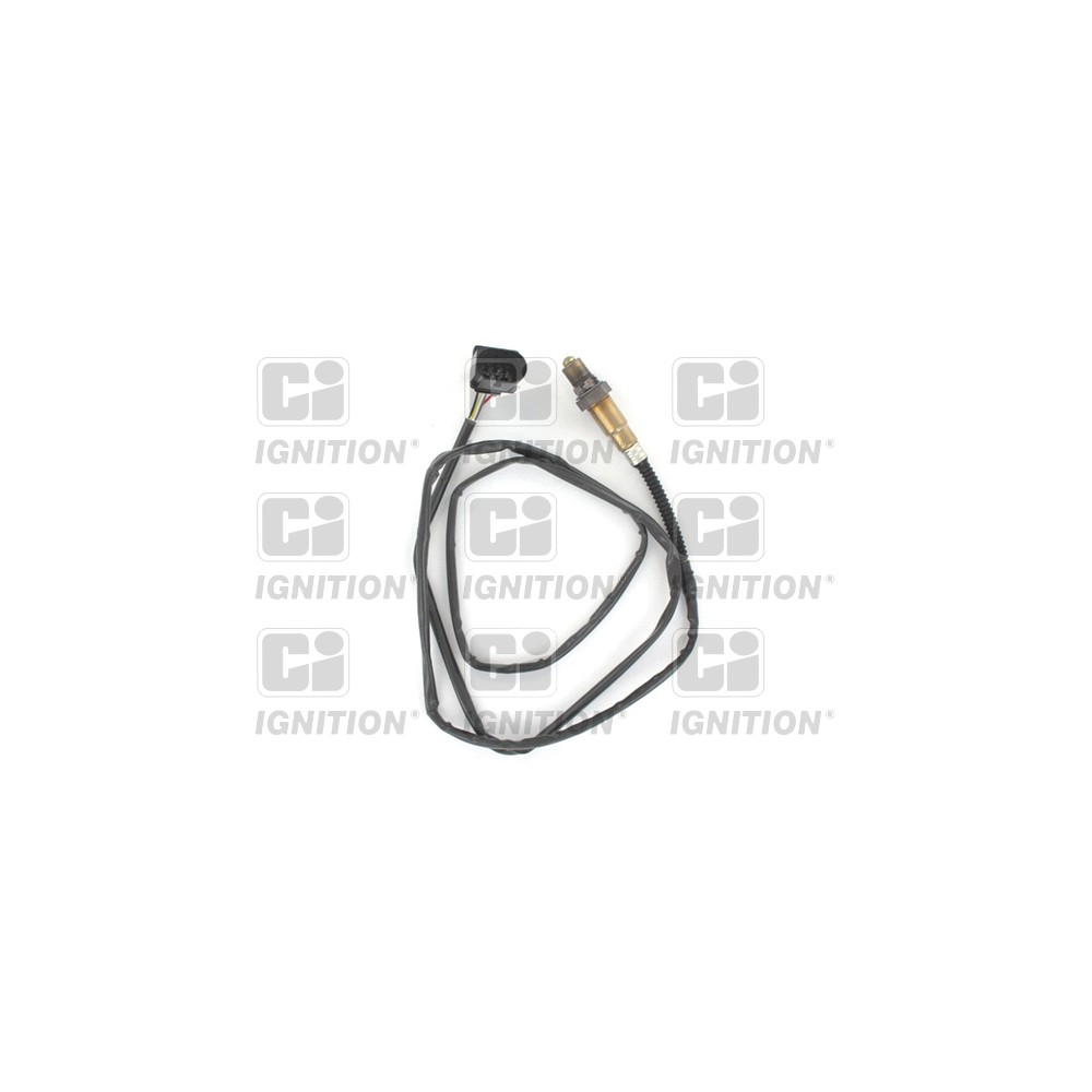 Image for CI XLOS1767 Oxygen Sensor