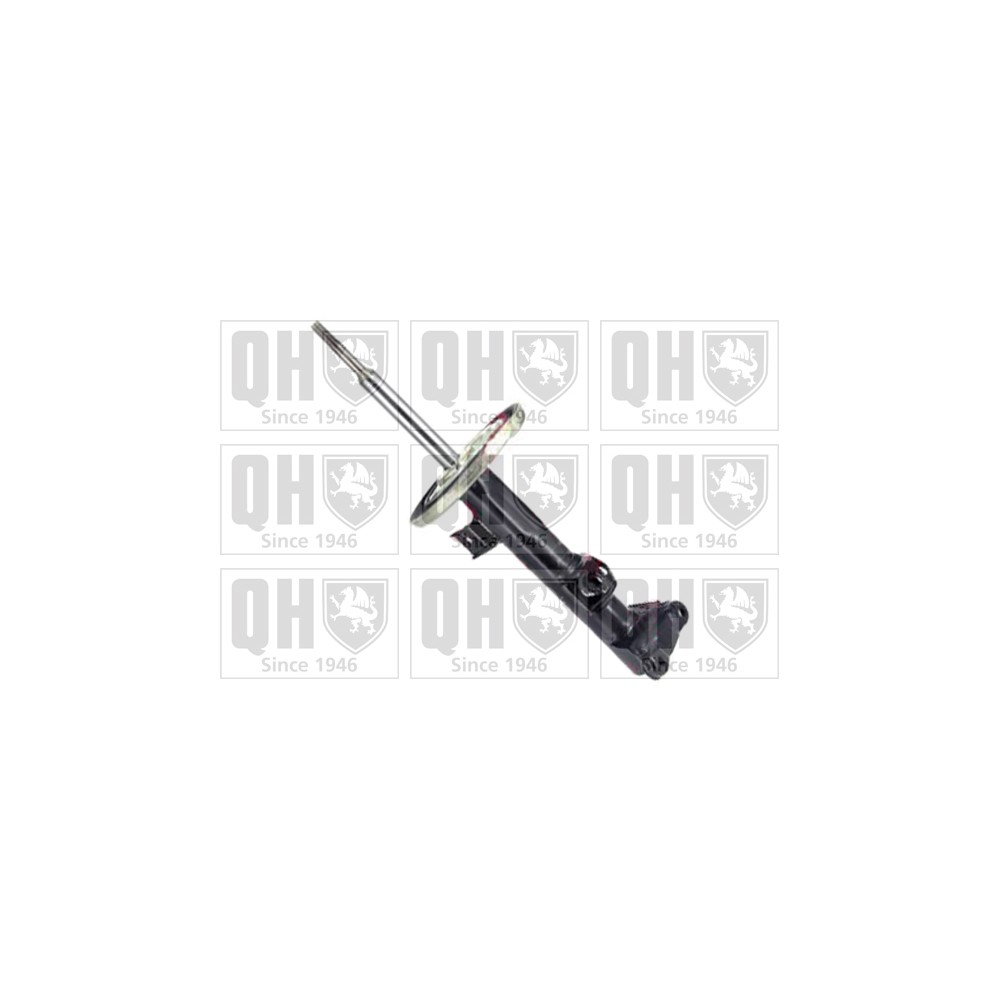 Image for QH QAG878121 Shock Absorber