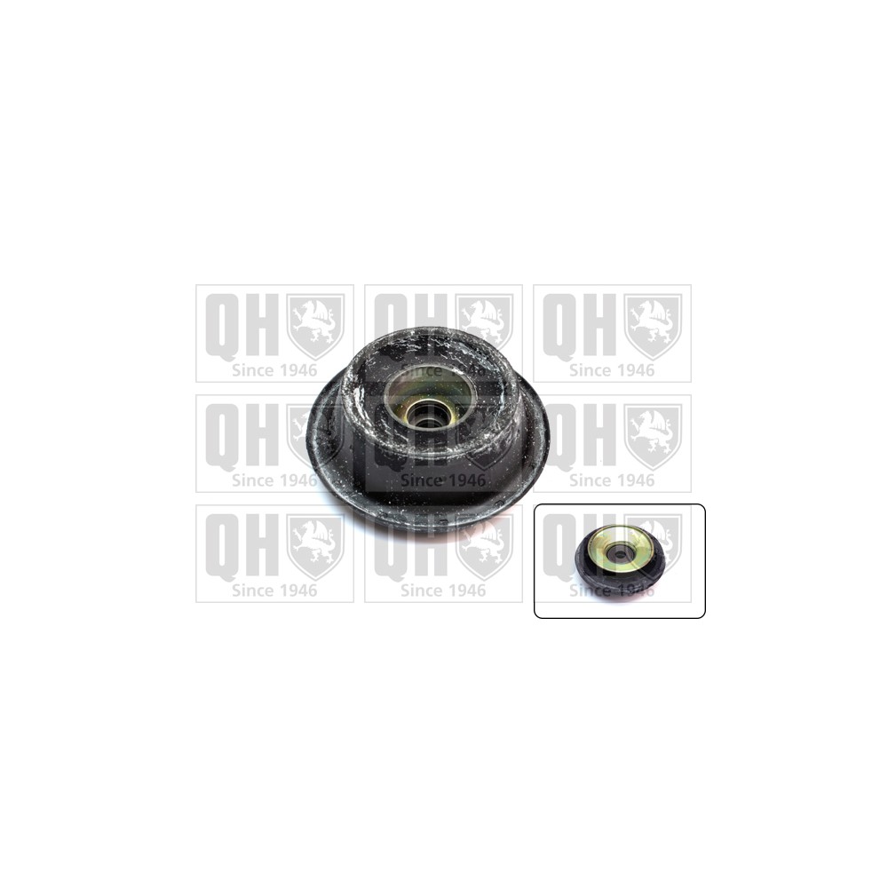 Image for QH EMA1796 Top Strut Mounting - Front inc.Bearing LH & RH