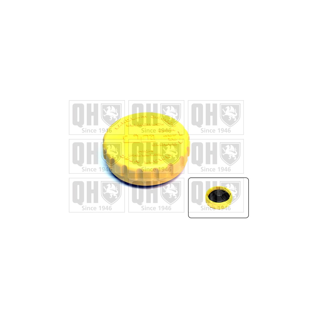 Image for QH FC519 Expansion Tank Cap