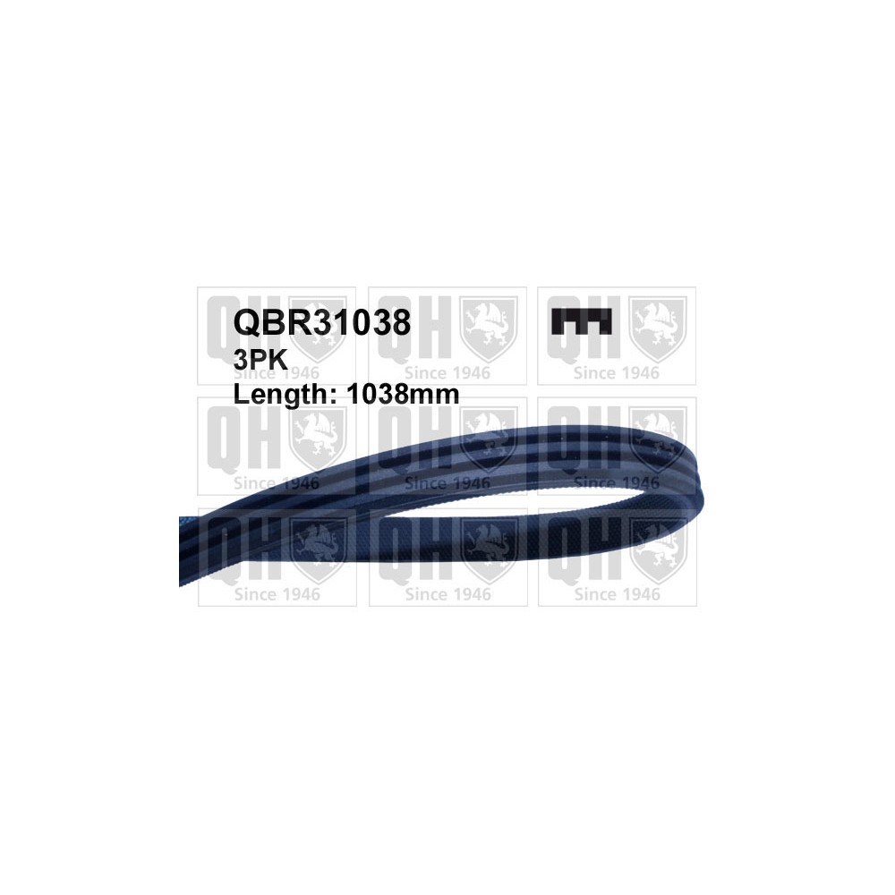 Image for QH QBR31038 Drive Belt