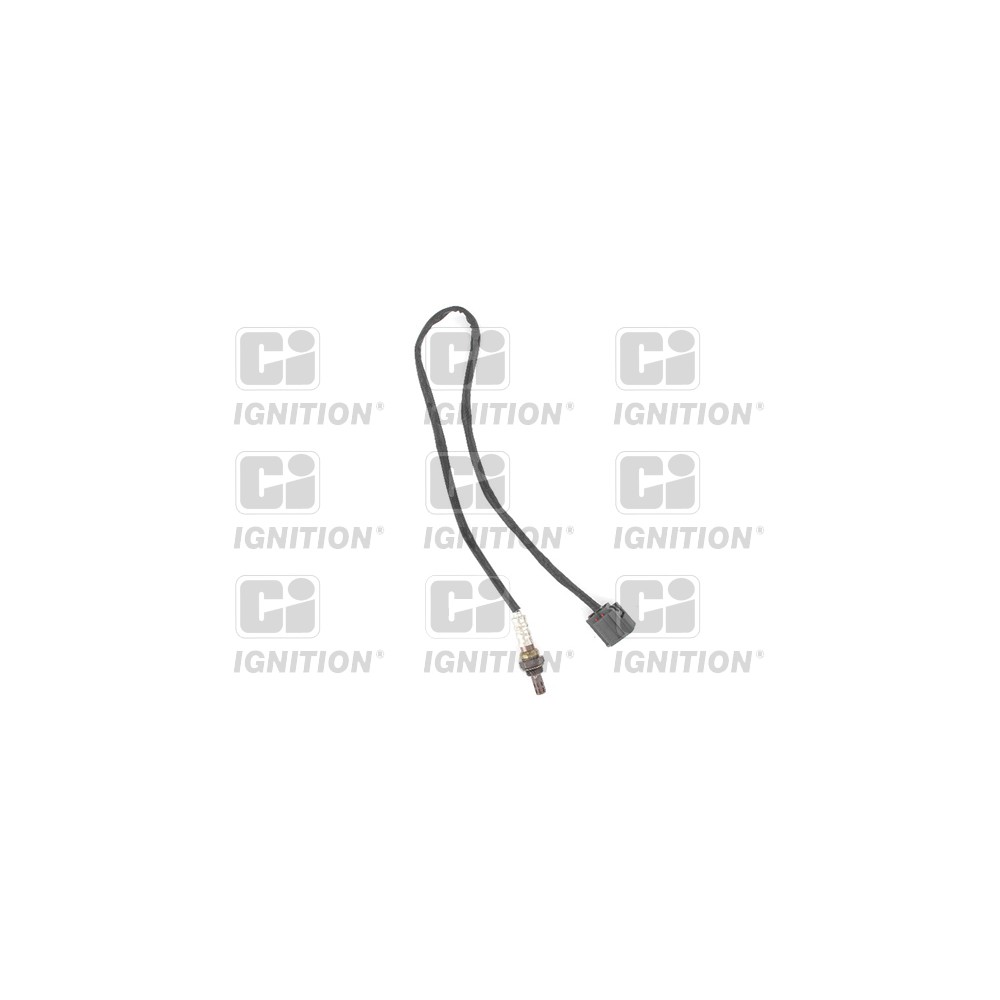 Image for Oxygen Sensor