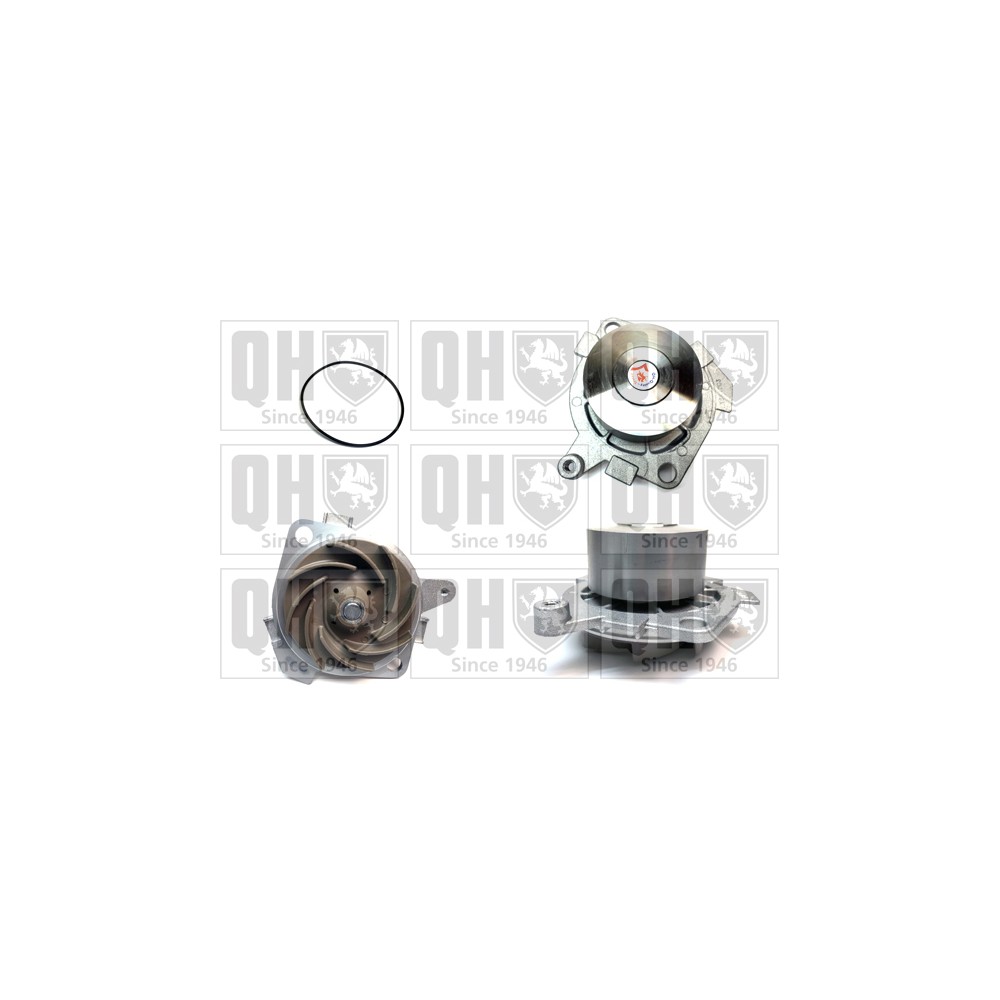 Image for QH QCP3219 Water Pump