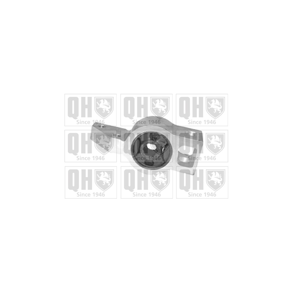 Image for QH EMS8230 Suspension Arm Bush - Front Lower RH (Rear)