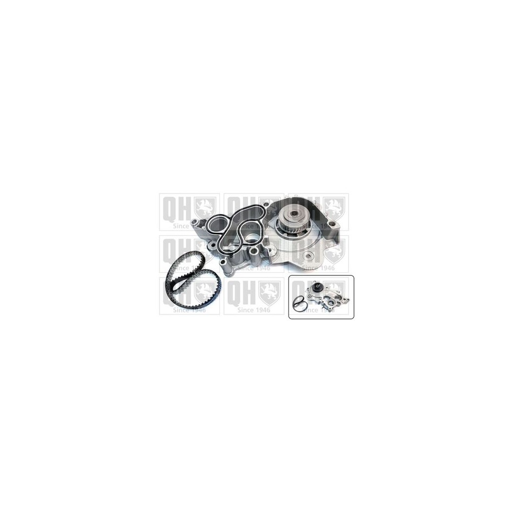 Image for QH QBPK9119 Timing Kit & Water Pump