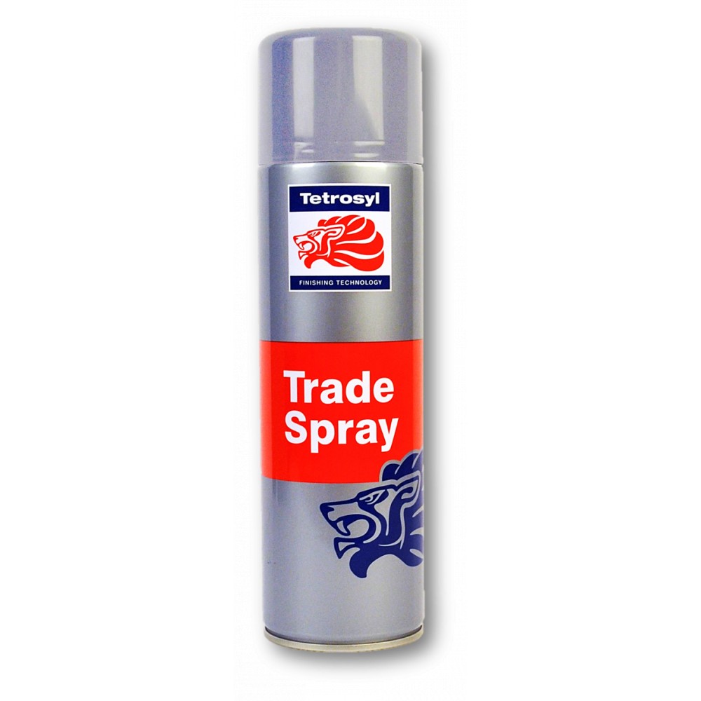 Image for Tetrosyl ATS017 Trade Spray Paint - Silv