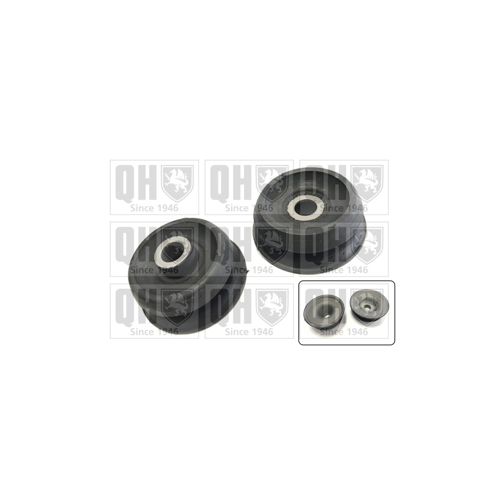 Image for QH EMA4883 Top Strut Mounting- inc Bearing