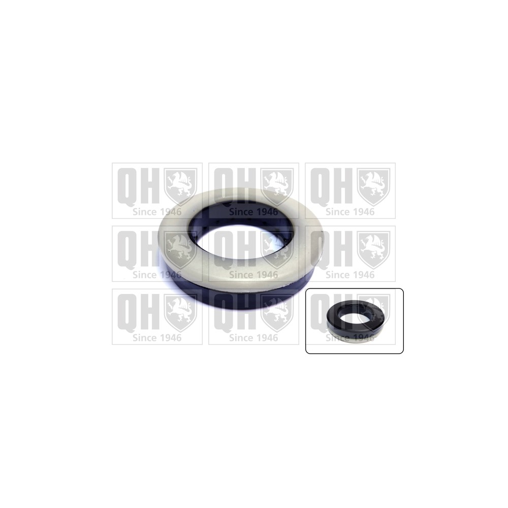 Image for QH QAM194 Top Strut Bearing