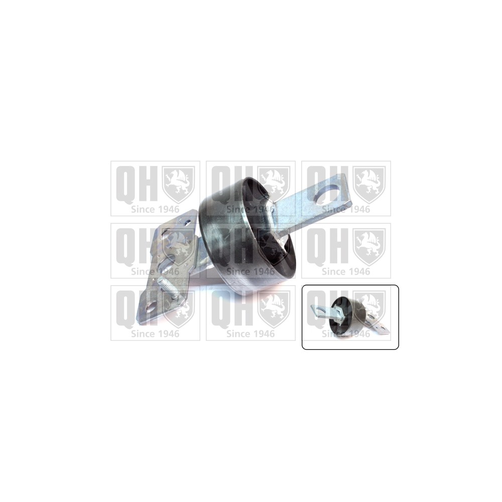 Image for QH EMS8551 Suspension Arm Bush - Rear Lower RH (Front)