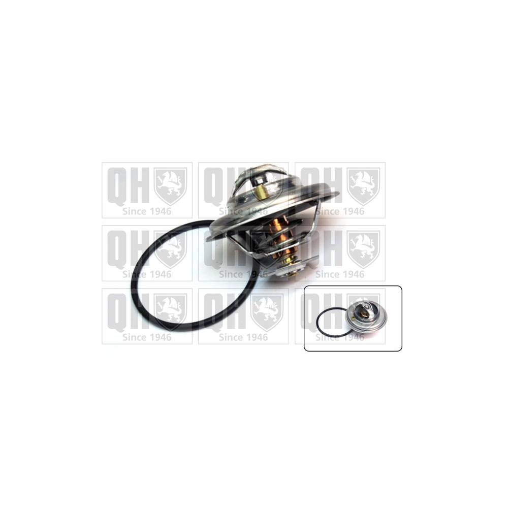 Image for QH QTH393K Thermostat Kit