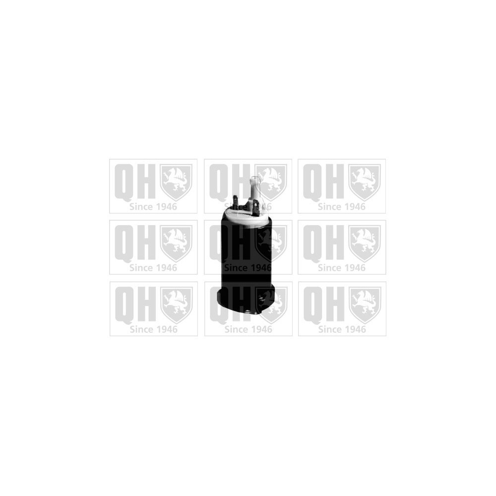 Image for QH QFP642 Fuel Pump