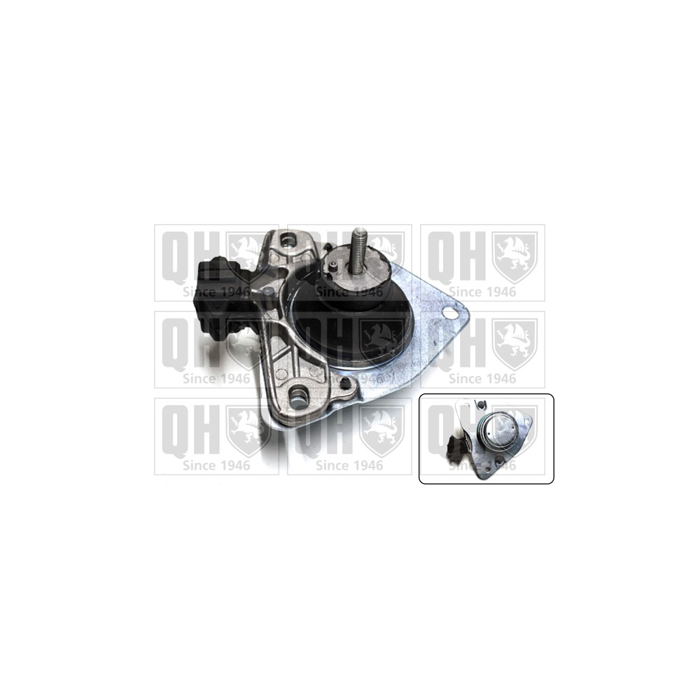 Image for QH EM3180 Engine Mounting