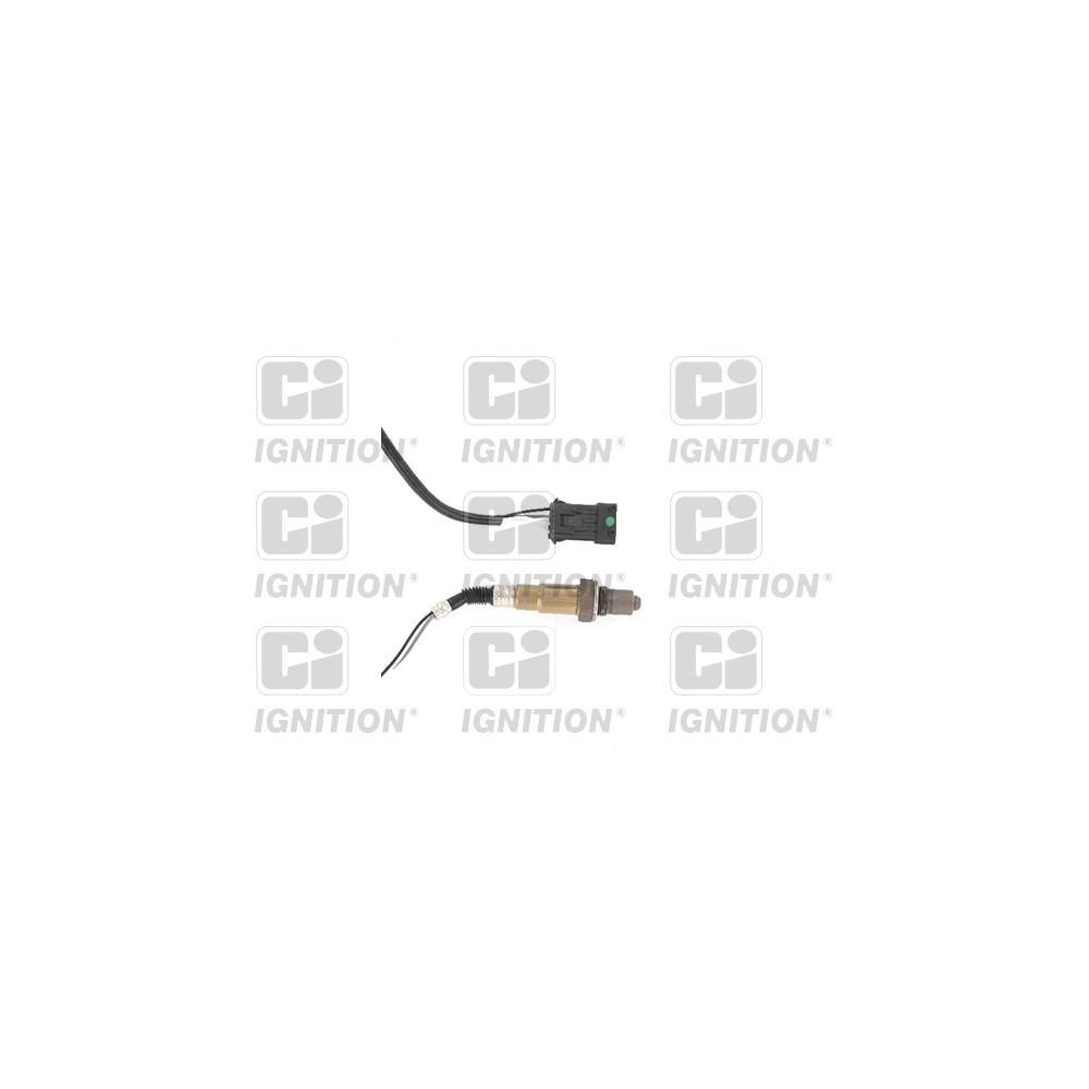 Image for Oxygen Sensor