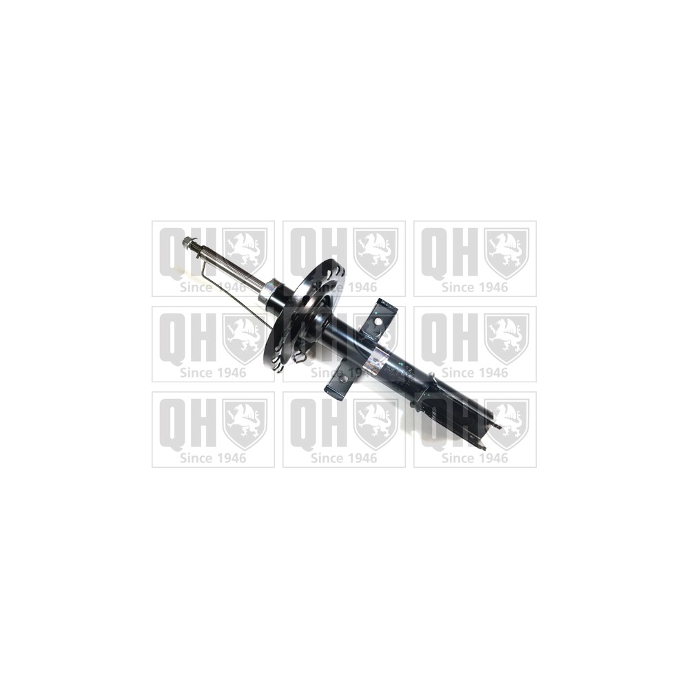 Image for QH QAG178985 Shock Absorber