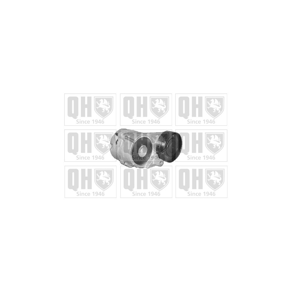 Image for QH QTA1206 Drive Belt Tensioner