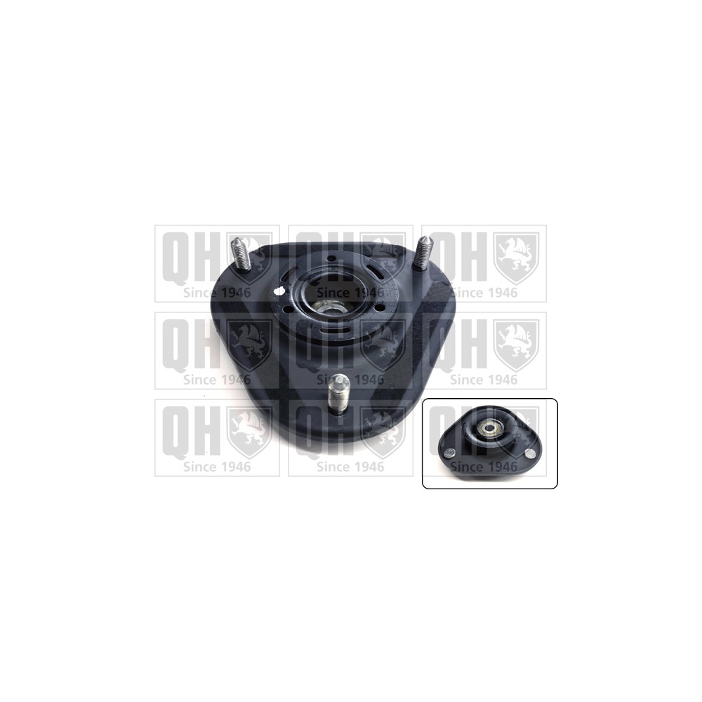 Image for QH EMA4896 Top Strut Mounting- inc Bearing