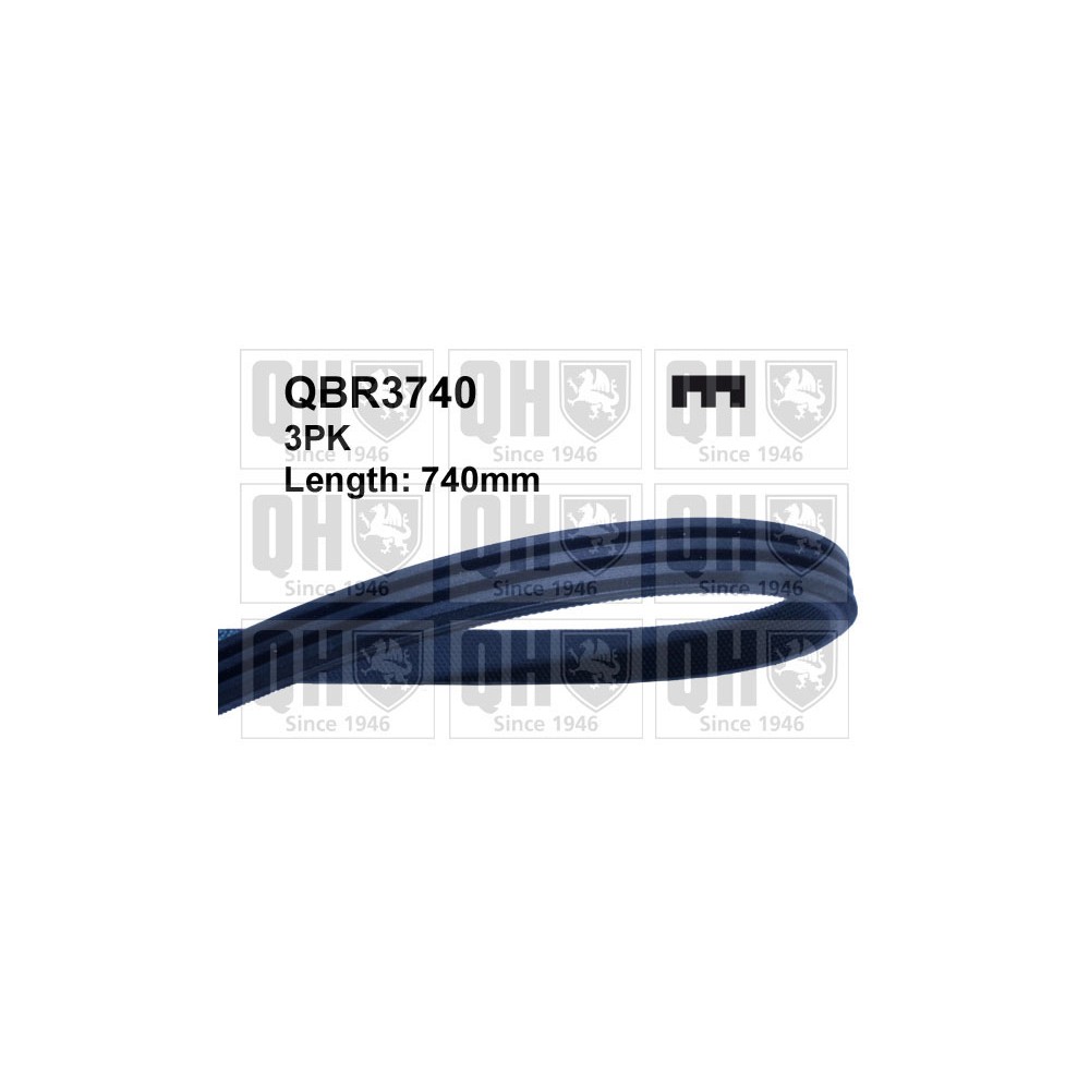 Image for QH QBR3740 MULTI-RIBBED BELT