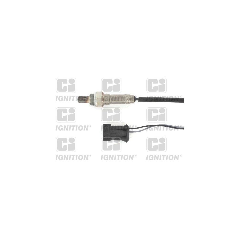 Image for Oxygen Sensor