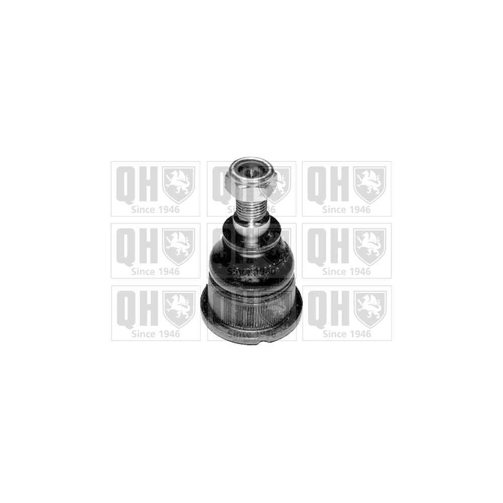 Image for QH QSJ1176S Ball Joint - Front Lower LH & RH (Outer)