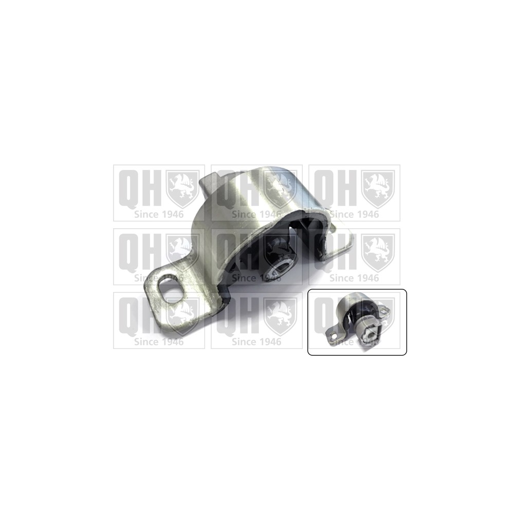 Image for QH EM4297 Engine Mounting