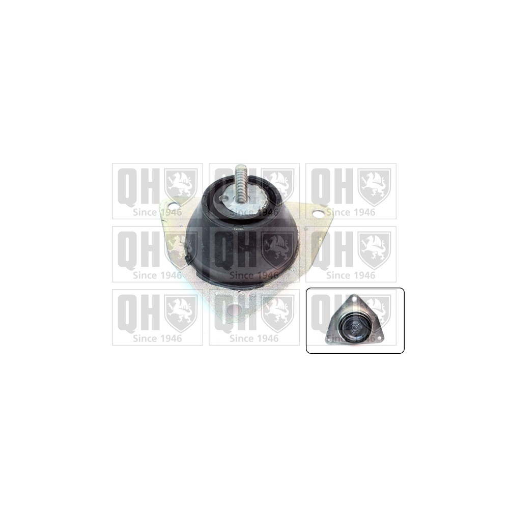 Image for QH EM4234 ENGINE MOUNTING