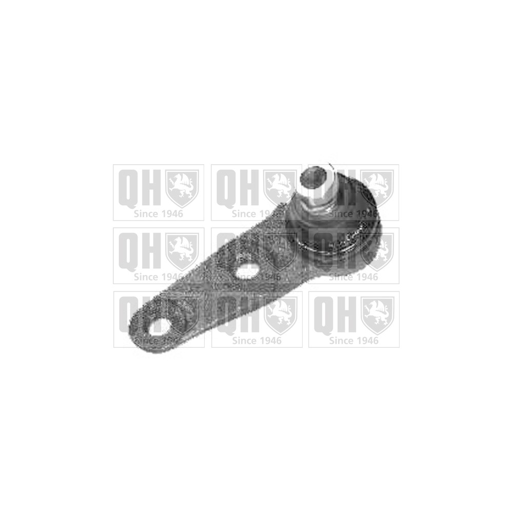 Image for QH QSJ1163S Ball Joint - Front Lower RH
